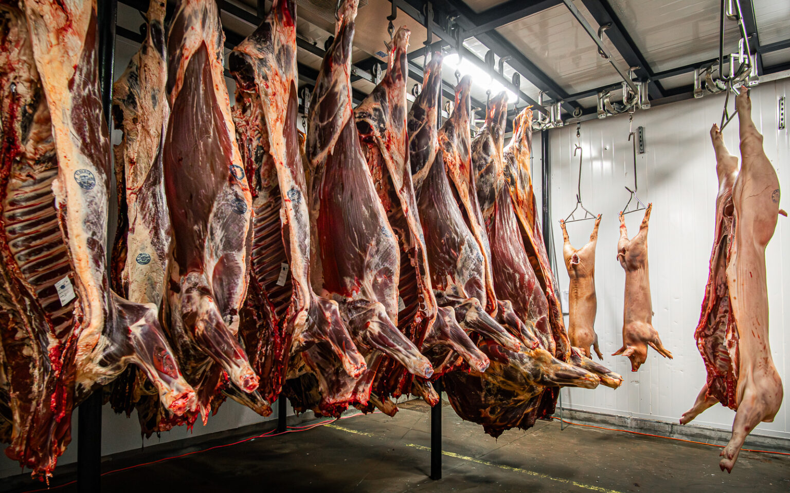 CUSTOM PROCESSING Inspected Cooler Beef 1